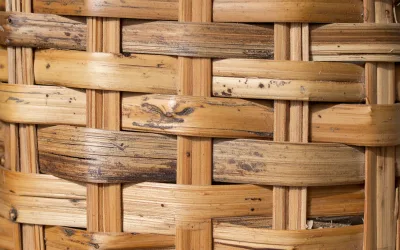 Extérieur : Le rotin peut-il rester dehors ?